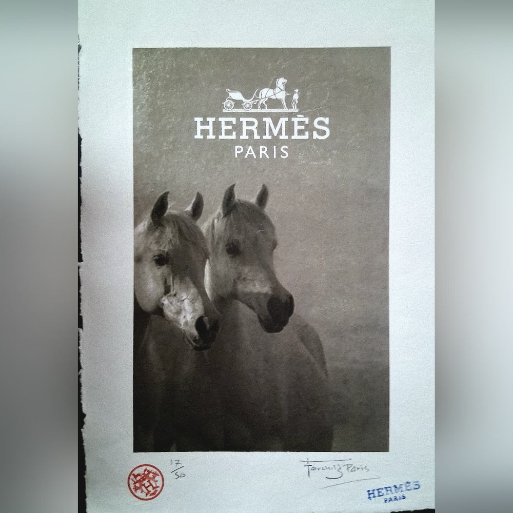 HERMÉS Paris Arabian Horses Limited Edition By Fairchild Paris